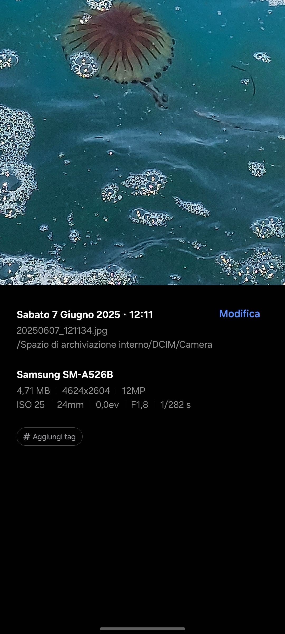 descrizione immagine