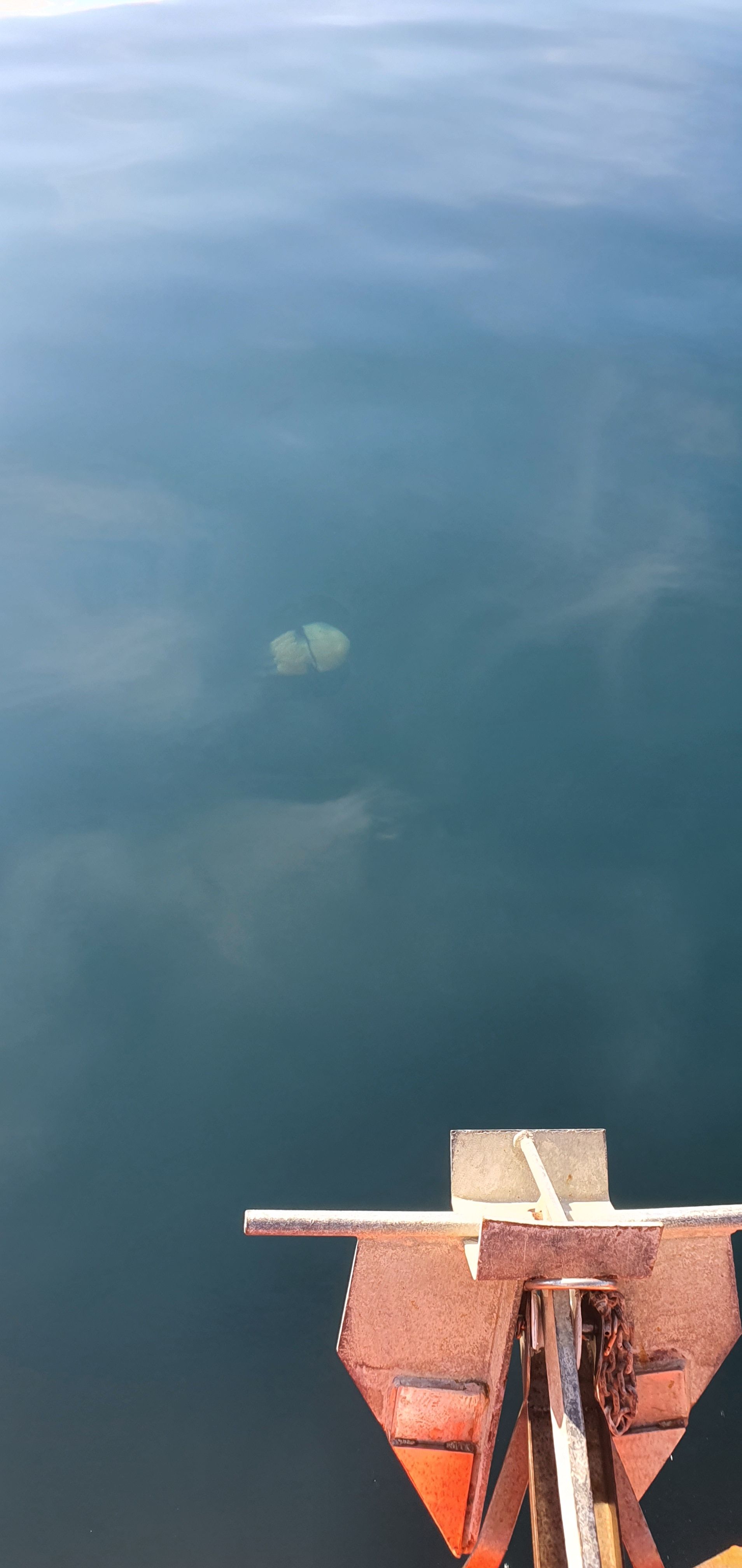 descrizione immagine