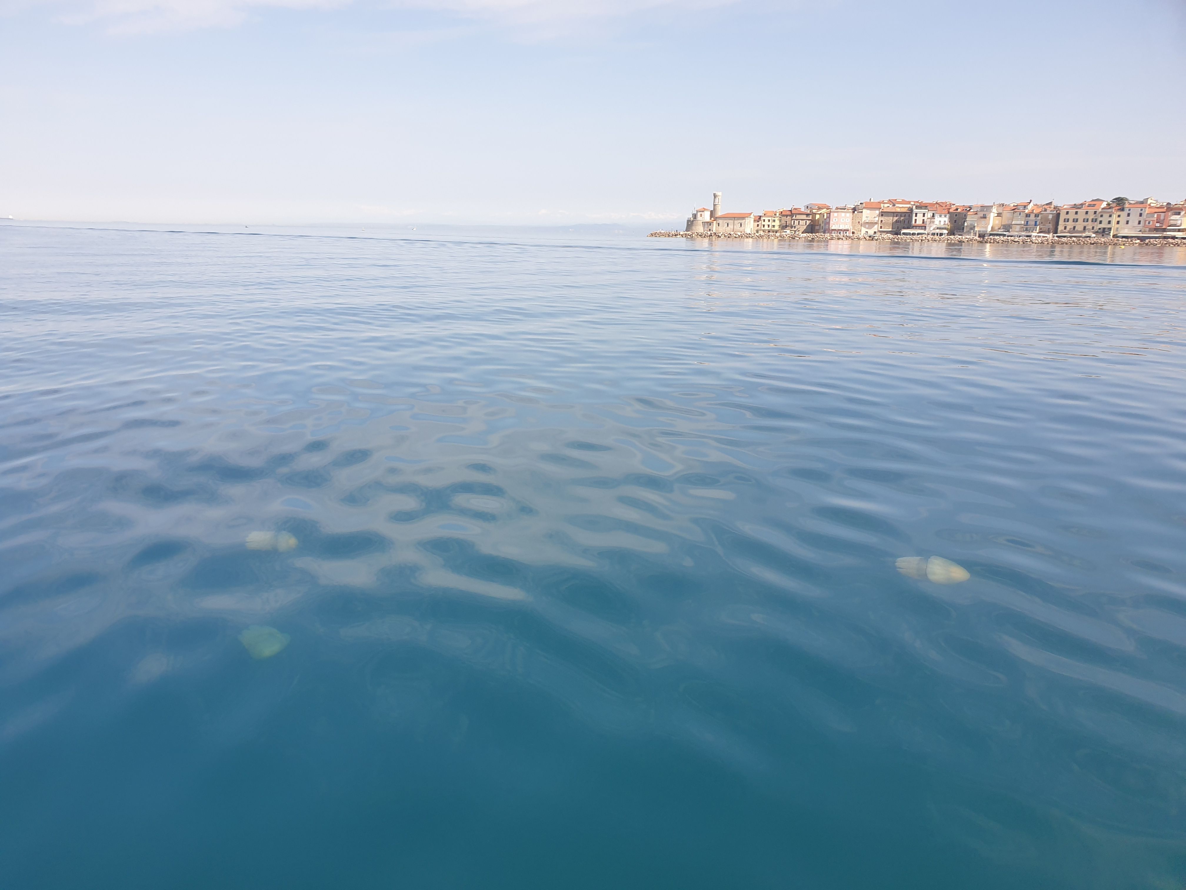 descrizione immagine