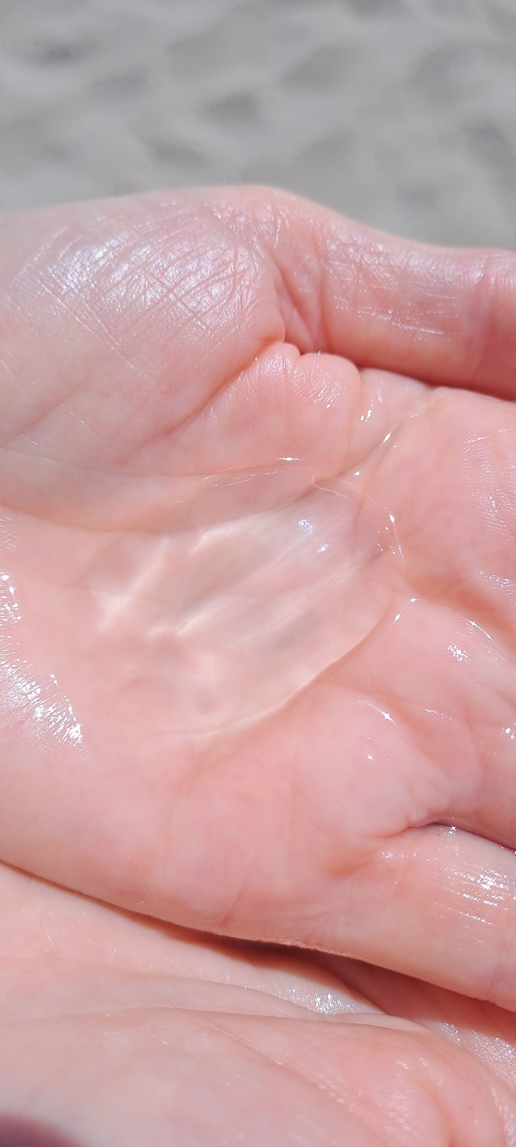 Mnemiopsis leidyi